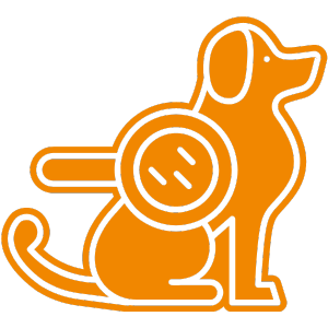 mobile-tierarztpraxis-dirk-joergens-hund-hauterkrankungen