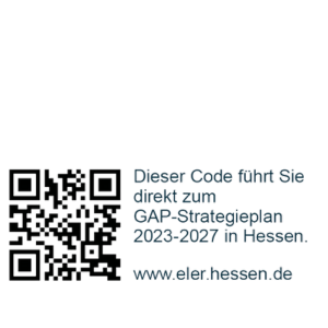 eler-hesse-code